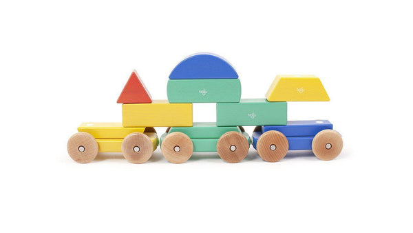 Tegu store magnetic train