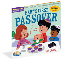 Baby’s First Passover Indestructible Book