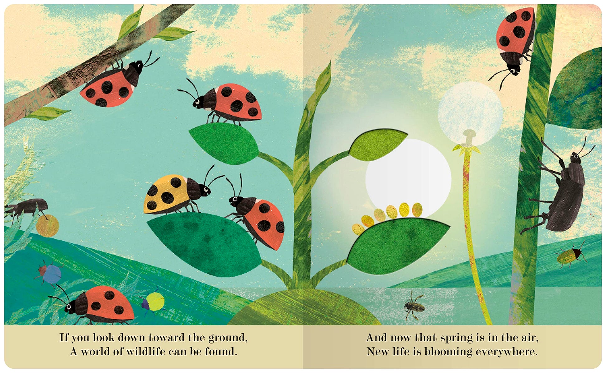 Bugs: A Peek-Through Picture Book