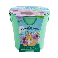 Buzzy Seeds Kids Flower Grow Pail - Coneflowers