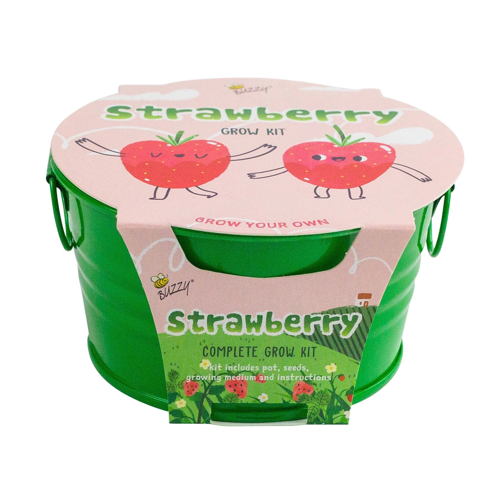 Buzzy Seeds Kids Mini Basin - Strawberries