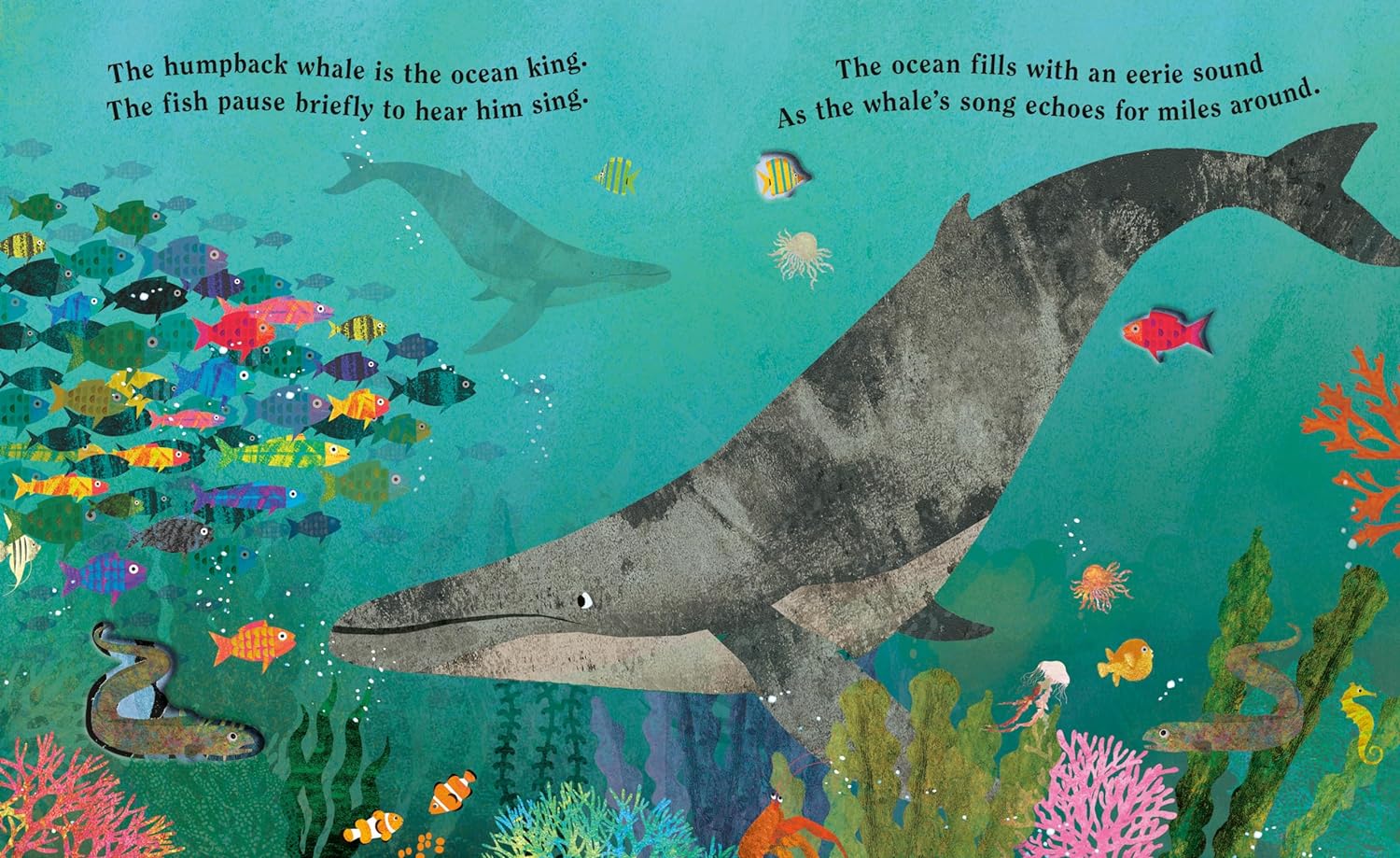 Ocean: A Peek-Through Board Book