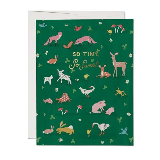 Red Cap New Baby Cards - Tiny Animals