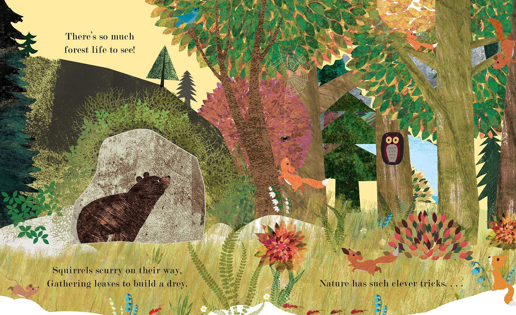 Home: A Peek-Through Picture Book