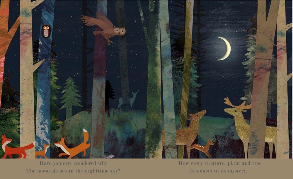 Moon: A Peek-Through Picture Book