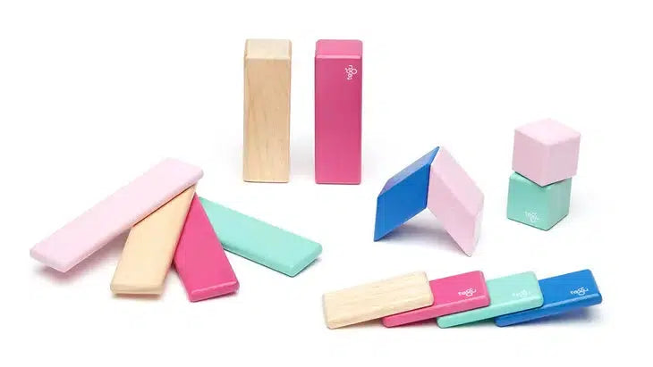 Tegu 14-Piece Magnetic Wooden Block Set - Blossom