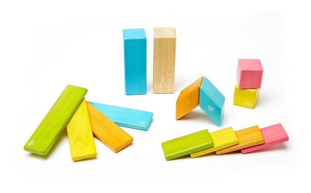 Tegu 14-Piece Magnetic Wooden Block Set - Tints