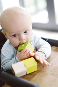 Tegu 6-Piece Baby's First Blocks Magnetic Wooden Block Set