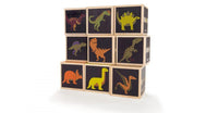 Uncle Goose Dinosaur Blocks